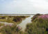 Nature reserve between Faro and Tavira